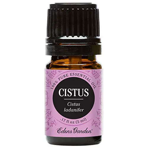 Cistus essential oil helps stop bleeding.