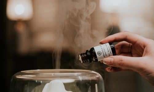 Your Go-To List of essential oils to use in a diffuser.