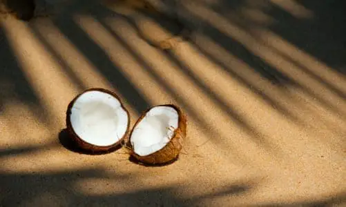 Which essential oil smells like Coconut?