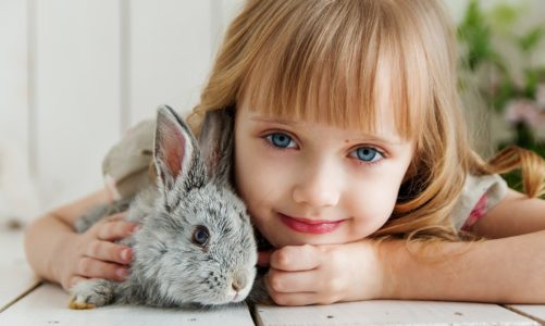 What essential oils are bad for rabbits?