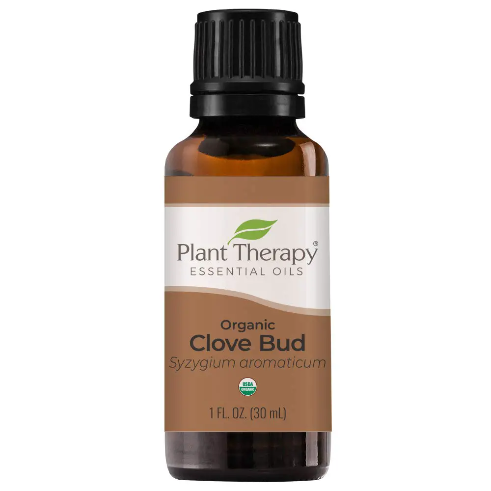 Clove essential oil have great analgesic properties to help relieve pain.