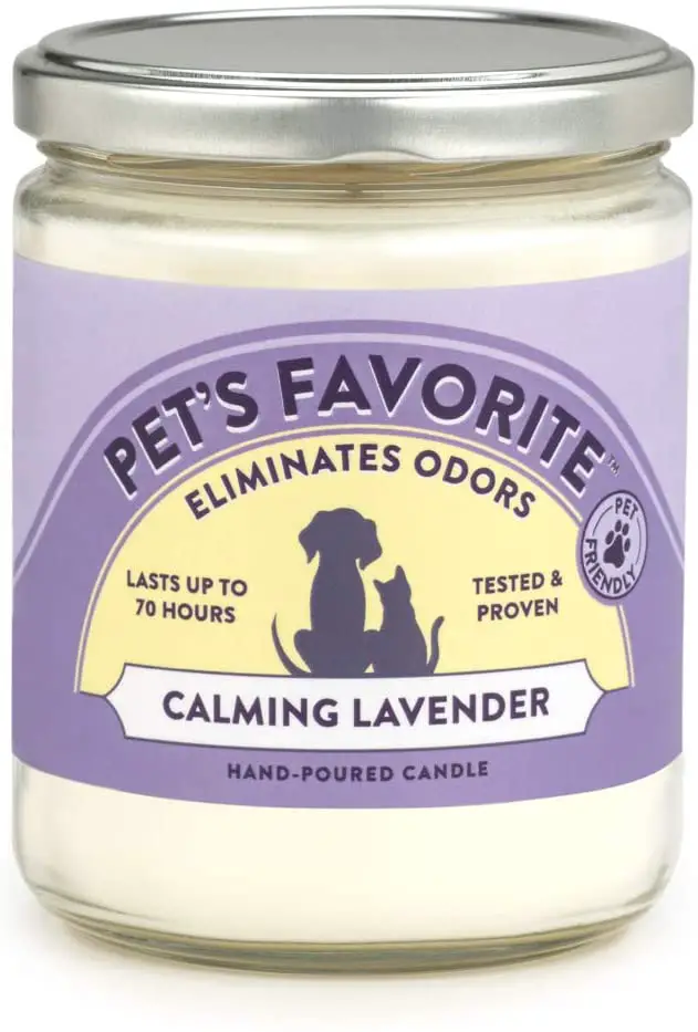 Essential oil candles removes pet odor in homes.